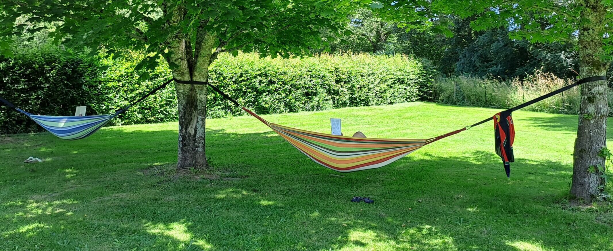 Hamacs dans le parc